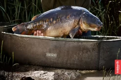 Trakker Sanctuary Compact Ovale Abhakmatte 5 Trakker Sanctuary Compact Ovale Abhakmatte -Fishing Verkaufe oval crib mat